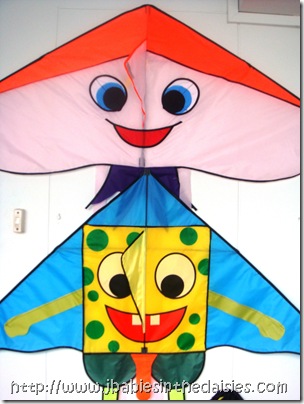 Pretty Kites