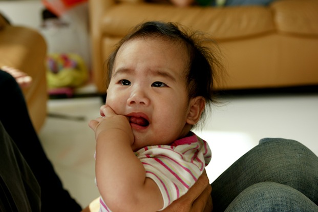 [DSC04556[4].jpg]