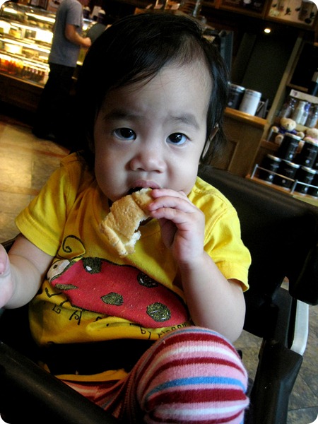 IMG_2183 IMG_2183