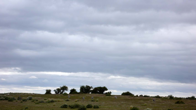 Photo of  08. Ovejera (Laguna Blanca) - Parada de Bus (cerca de Rubens) 