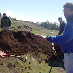 Dia da Árvore 2004