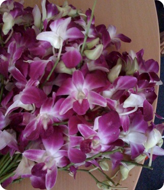 orchids for krathong