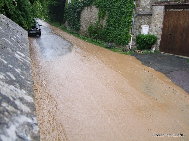 FPO2010_0702.JPG