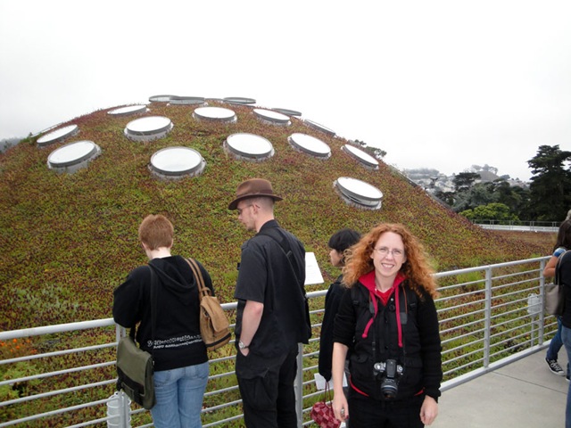 [Green-Roof[5].jpg]