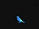 [blue-bird-mp3-pembuka-naruto-shippuden[2].jpg]