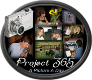 [sara_p365button09[2].png]