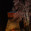 noc 015.jpg