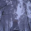 SDC10224.JPG