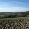 SDC10462.JPG