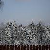 SDC10541.JPG