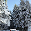 SDC10558.JPG