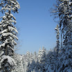SDC10575.JPG