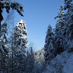 SDC10563.JPG