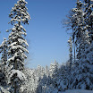 SDC10565.JPG