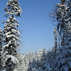 SDC10573.JPG