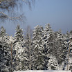 SDC10576.JPG