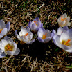 SDC10806.JPG