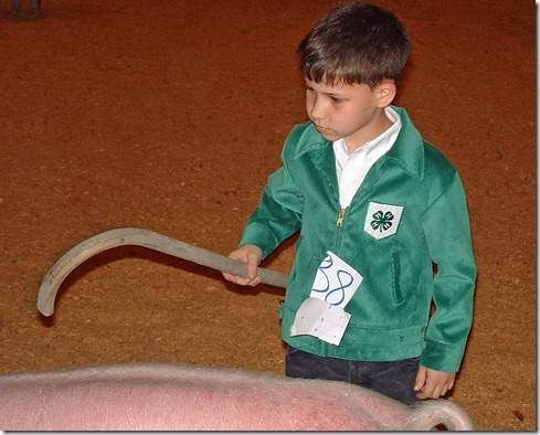 Fair Hog Show 042 copy 3