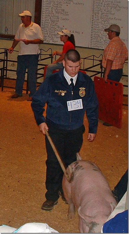 Fair Hog Show 056