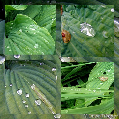 [2010 06 19 waterdrops collage[8].jpg]