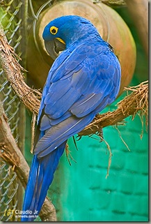 Zoo2 (117 of 20)