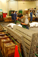 Tokyos Fischmarkt, die Thunfisch-Auktion. Nach der Auktion werden die Besucher gebeten zu gehen. Da Touristen aber sehr viel Zeit haben und immer Sachen machen wollen die sie nicht dürfen, wird mit viel Wasser etwas nachgeholfen. Innerhalb von einer halben Minute war die Halle leer. ;-) – 24-Jul-2009