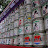 Tokyo, Harajuku &ndash; 09-Aug-2009