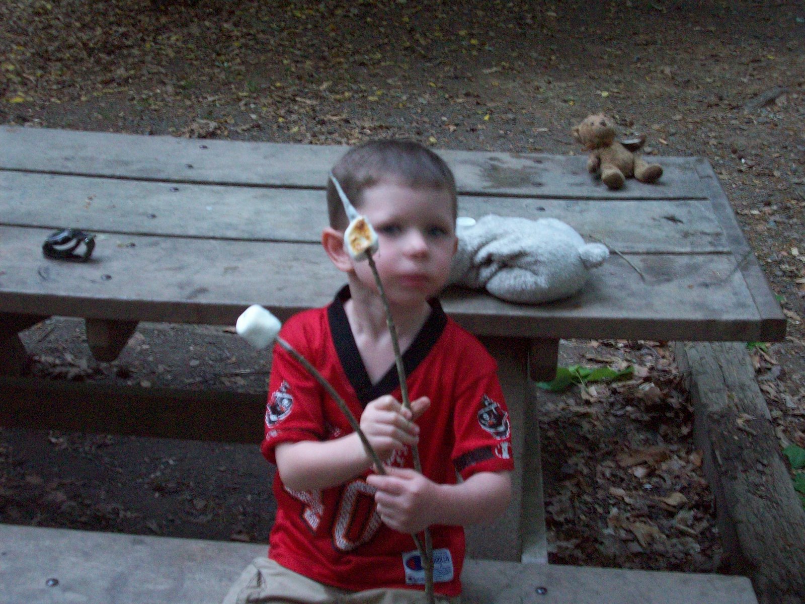 [Caleb's+Camping+Birthday+143.jpg]