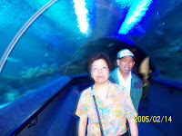 100_1982.jpg