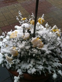 IMG_0124 IMG_0124
