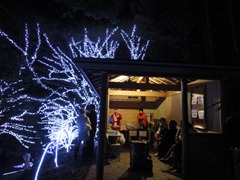 DSC04479 DSC04479