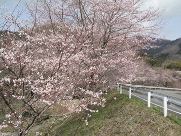 DSC03266 DSC03266