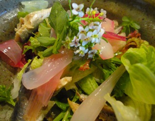 DSC05150 DSC05150