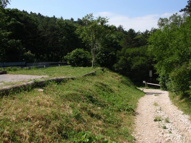 Parco Globojner