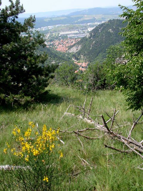 Val Rosandra