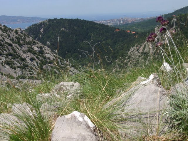 Val Rosandra