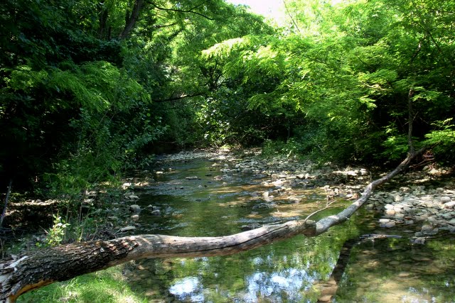 Rio Ospo