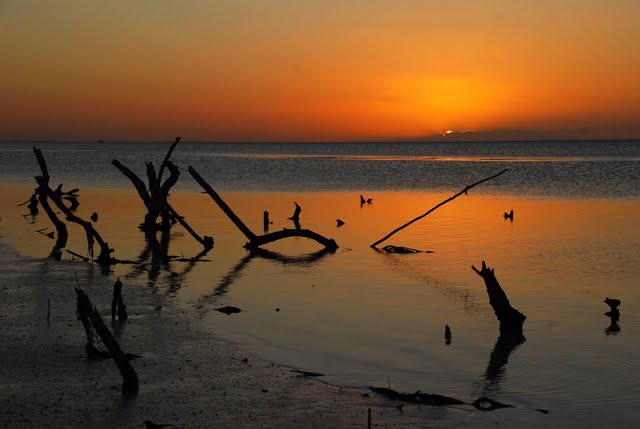 Tramonto a Holbox Tramonto a Holbox
