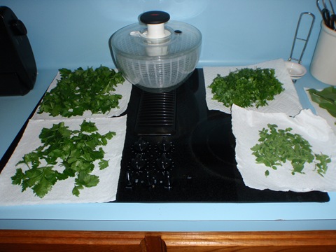 [Pesto-20100501_02[3].jpg]