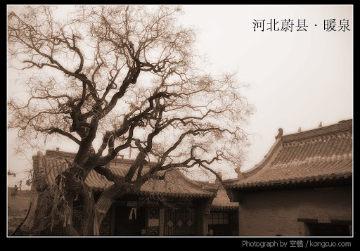 河北-蔚县-暖泉-真武庙