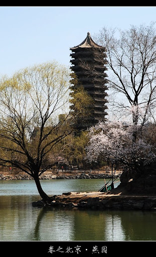 北京大学-春天-美景摄影-未名湖-博雅塔