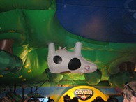 IMG_1121 IMG_1121