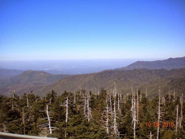 [DSCN07643.jpg]
