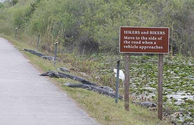 [Everglades Road Sign[4].jpg]