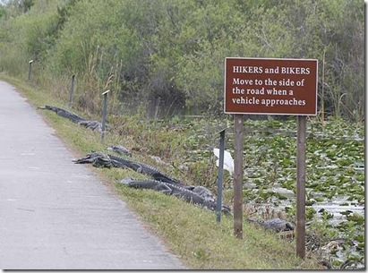 Everglades Road Sign
