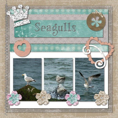 Seaguls
