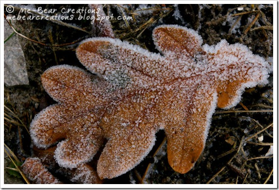 Frozen-Leaf