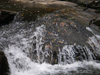 IMGP1350a0.JPG Photo