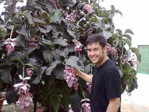 Floral pursuit: Wong posing with the Rose grape (medinilla magnifica) plant at the YG Park nursery in Cameron Highlands recently.