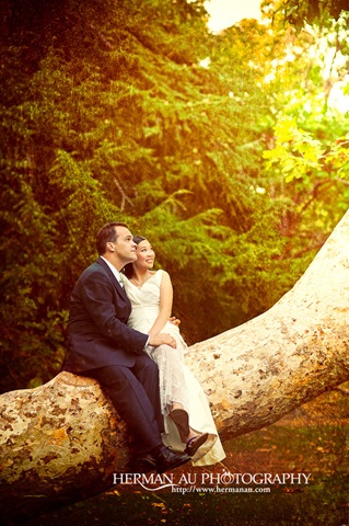 [DSC_8003-Edit[4].jpg]